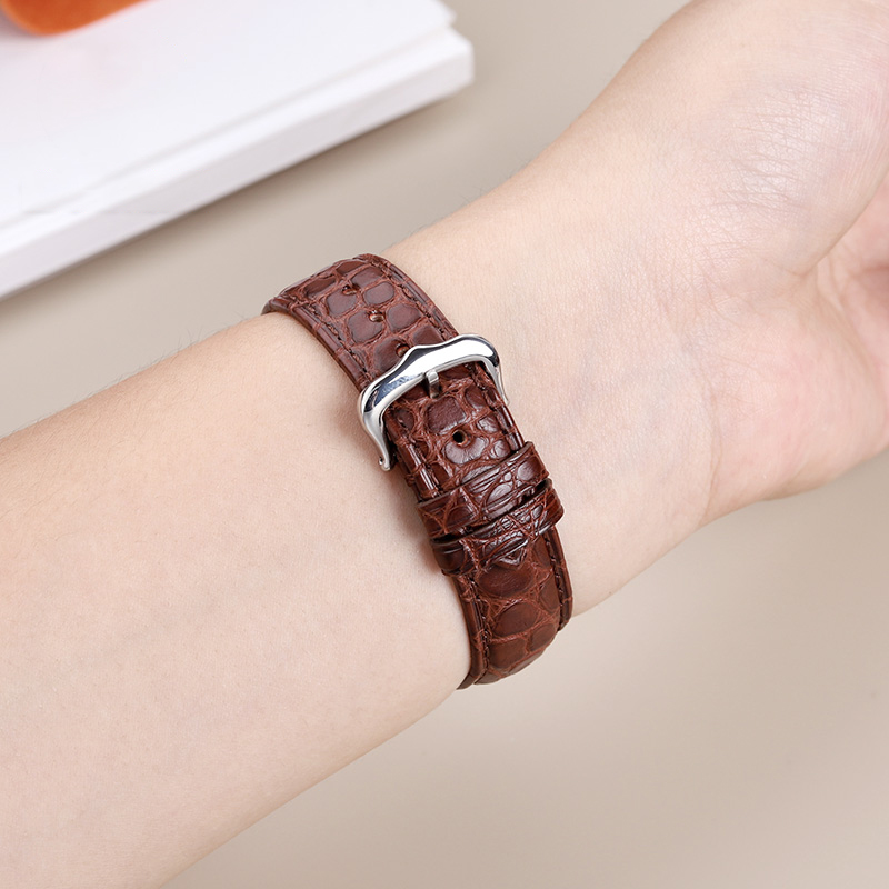 16mm 17 18 19 21 22mm Genuine  - Cartier Watch Santos ulasan dan harga